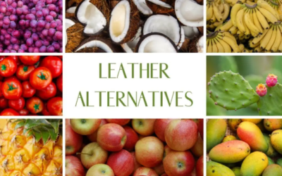 Top 5 Eco-Friendly Leather in US: What Are The Best Sustainable Alternatives?